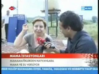 Sokak Hayvanlarına Yempati | TRT Haber