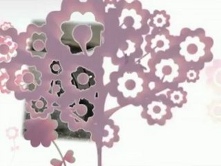 Top Deal Review  - Contour HD Camera