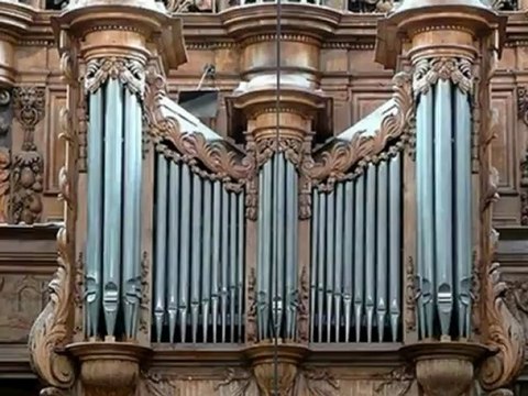 orgues de la cathédrale de Béziers