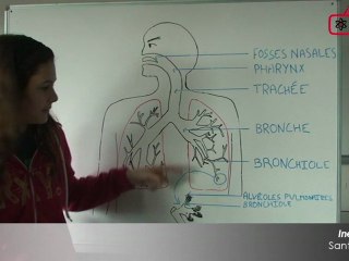 S06E04 - Intoxication Au Monoxyde De Carbone + Bétisier