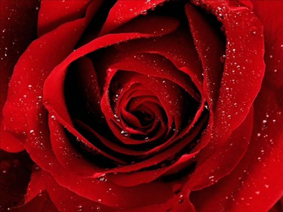 Kamuran AKKOR - SÖYLEME BİLMESİNLER