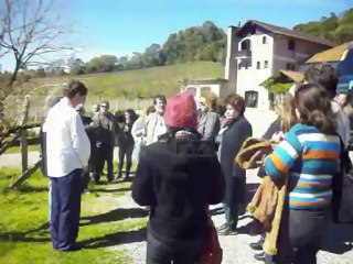 VIAGEM A SERRA GAUCHA TERRAS DO VINHO