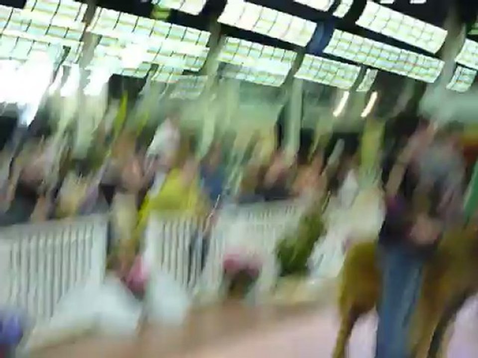 Guidelle Bis Jeune 3ième  CACIB Angers 2012