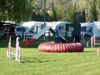 Brownie - Open Miramas 08-04-12