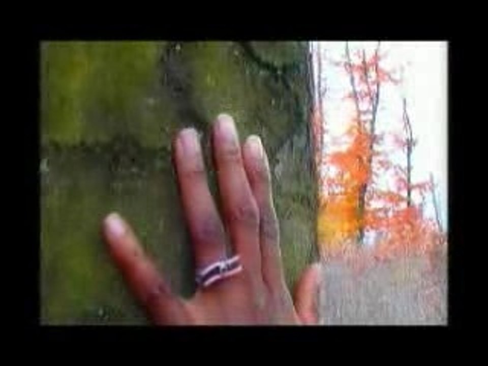 Princess Erika - Je dois partir