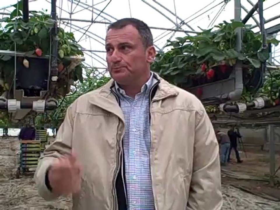 Interview de Xavier Mas, président de l’AOPn Fraise (c) Papilles & Pupilles