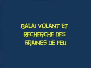 Harry Potter a l'ecole des sorciers (04)  Balai volant et graine de feu