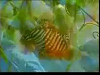 BİZE BAĞLI OLMAYAN BİLİNÇ