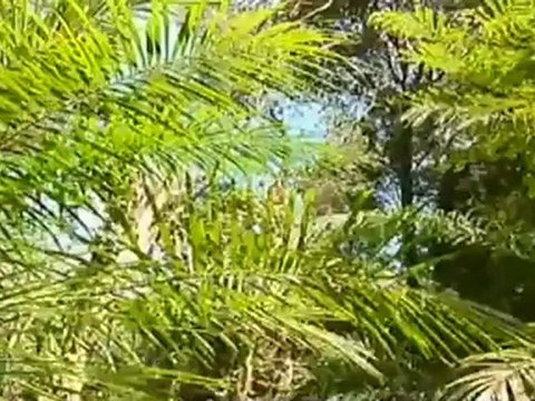 รายการ เปิดปม วันที่ 9 เมษายน 2555-ล้างอิทธิพลมืด