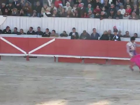 Mehdii SAVALLI - Toros de Miura Arles paques 2012