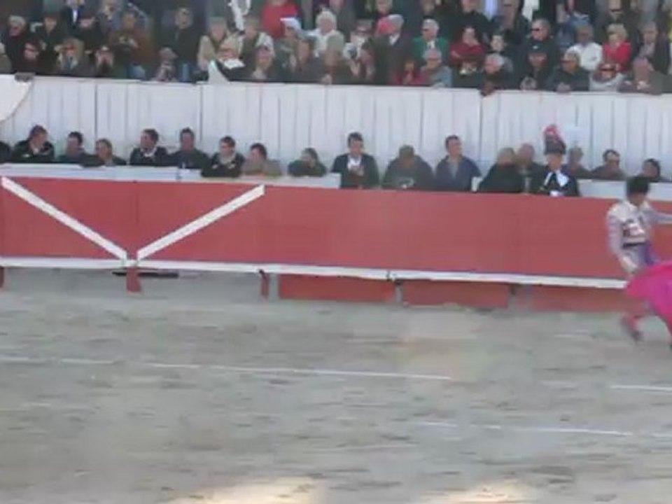 Mehdii SAVALLI - Toros de Miura Arles paques 2012