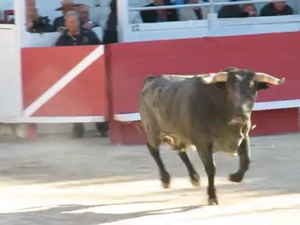 Mehdi SAVALLI - Toros de Miura Arles paques 2012