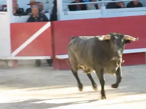 Mehdi SAVALLI - Toros de Miura Arles paques 2012