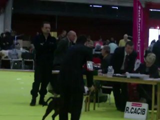 Démon de la griffe du dragon bourg en bresse 2012