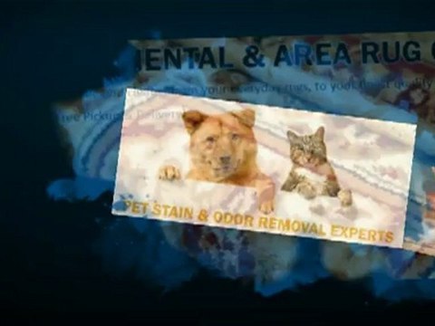 Carpet Dry-Tech - (678) 368-5991