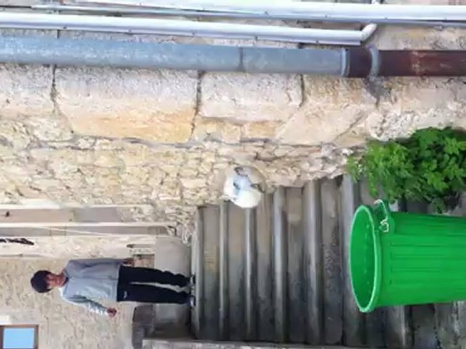 Tir dans une poubelle d un escalier