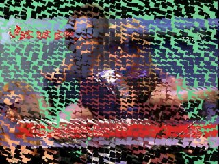 Felicidades Carmen Alcayde!