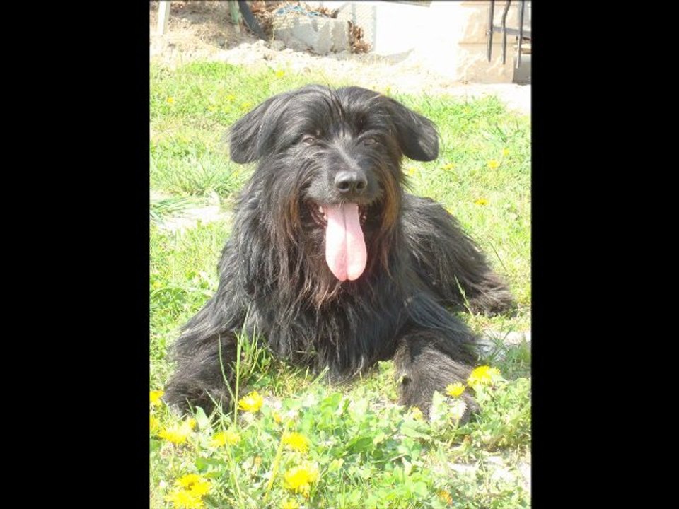 Fierous 6e concours Miramas 08/04/12