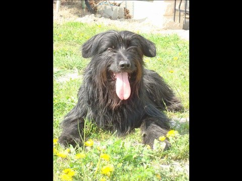 Fierous 6e concours Miramas 08/04/12