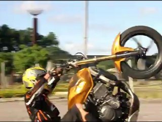 CHICO WHEELING STUNT BRASIL