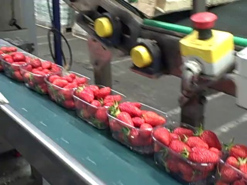 Début de la chaîne de conditionnement