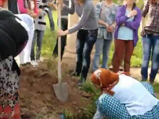 ağaçlandırma çalışması 3