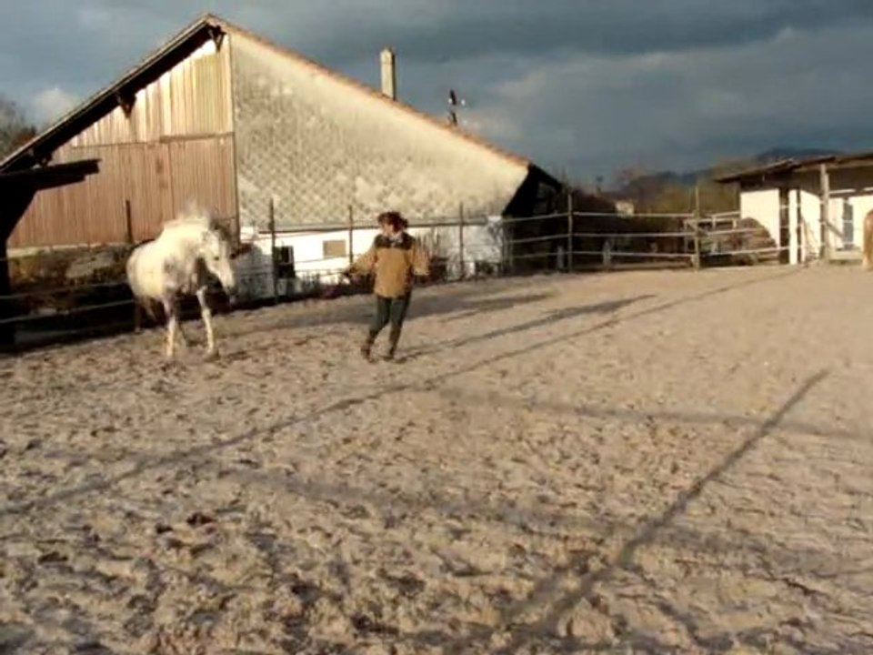 Safran en mode: "pivot"
