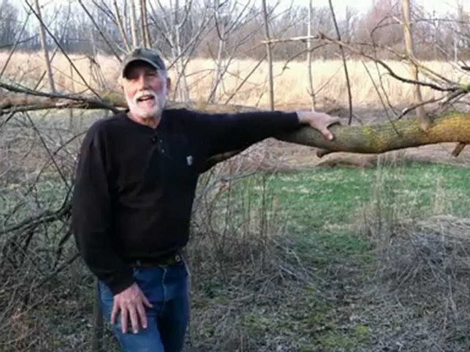 Whitetail Deer Management Plan for Improving Deer Habitat