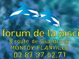 Le Forum de la Piscine - Montoy-Flanville HD