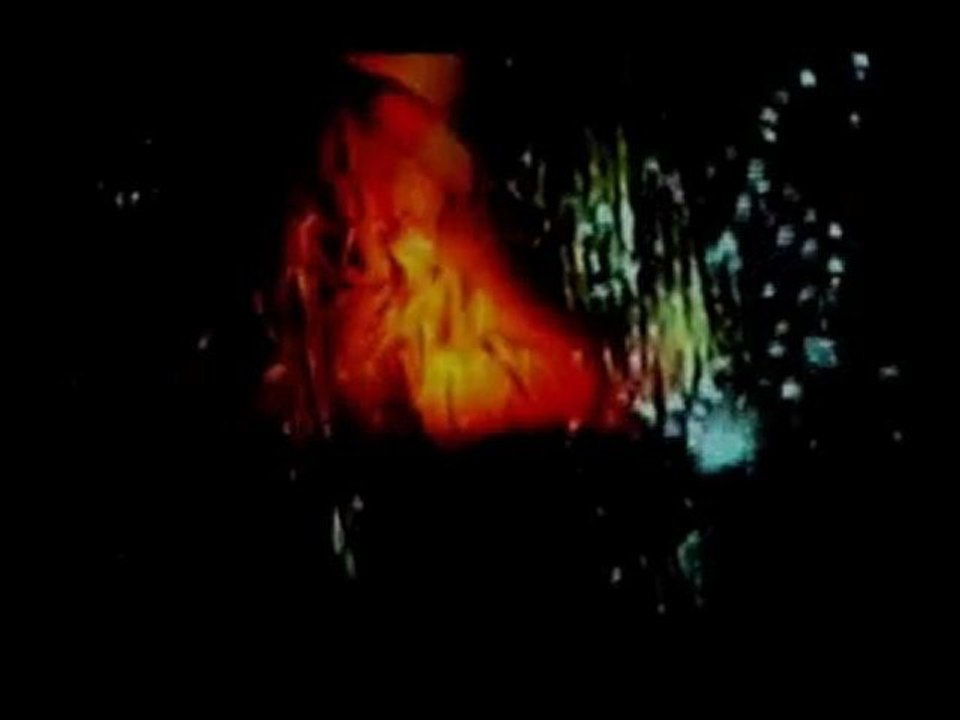 The Garden of Trench  (2004)