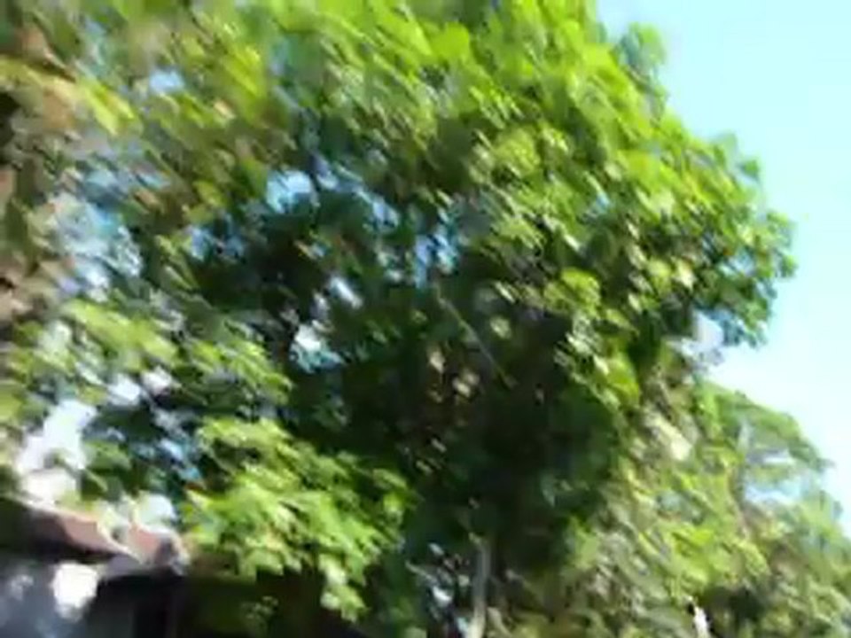 virée avec mon premier scooter a vitesses au cambodge