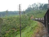 Sri Lanka : Haputalé le train vers Ella