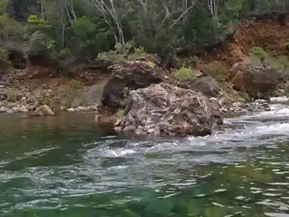 un dimanche à la rivière1
