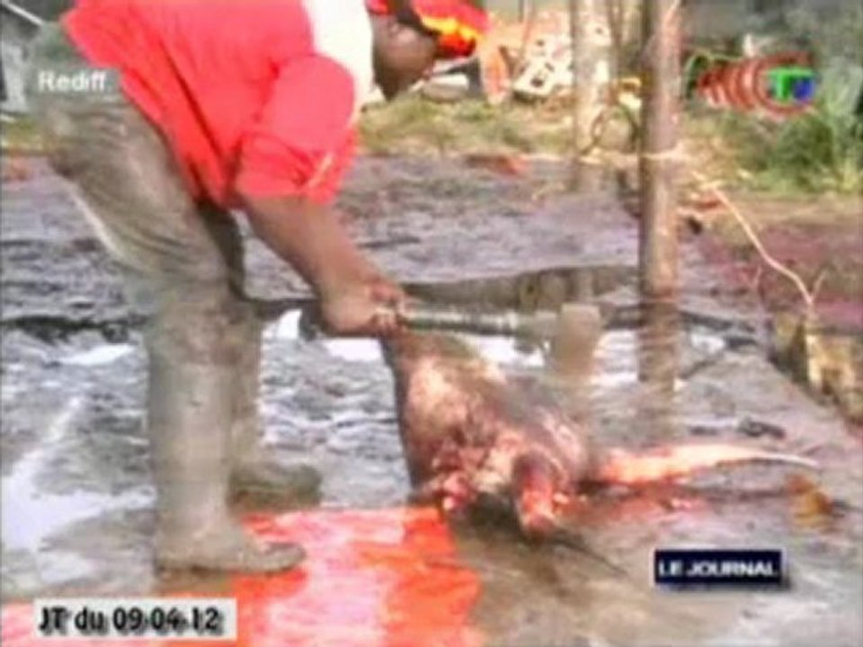 Flambée de prix : le kilo de viande fraiche encore plus cher