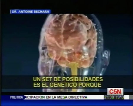 Cerebro y miopia para el futuro: A. Bechara (Lobulo frontal y adicciones)