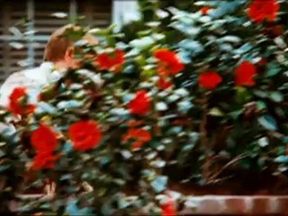 LOVELY BONES - Bande-annonce2 VO