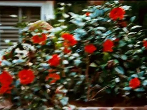 LOVELY BONES - Bande-annonce VF