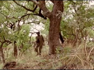 WHITE MATERIAL - Bande-annonce VF