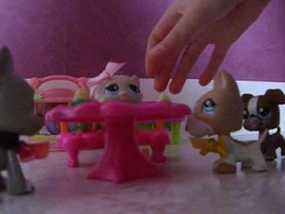 Pet Shop: L'amour pas si facile Partie1