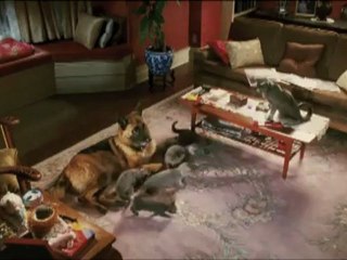 COMME CHIENS ET CHATS EN 3D - LA REVANCHE DE KITTY GALORE - Bande-annonce VF