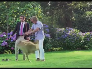 MARMADUKE - Bande-annonce VF