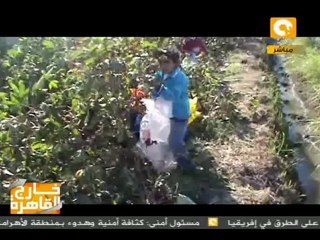 خارج القاهرة .. 11 نوفمبر 2011