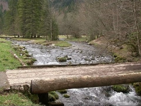 Espaces naturels sensibles : les grands sites départementaux.