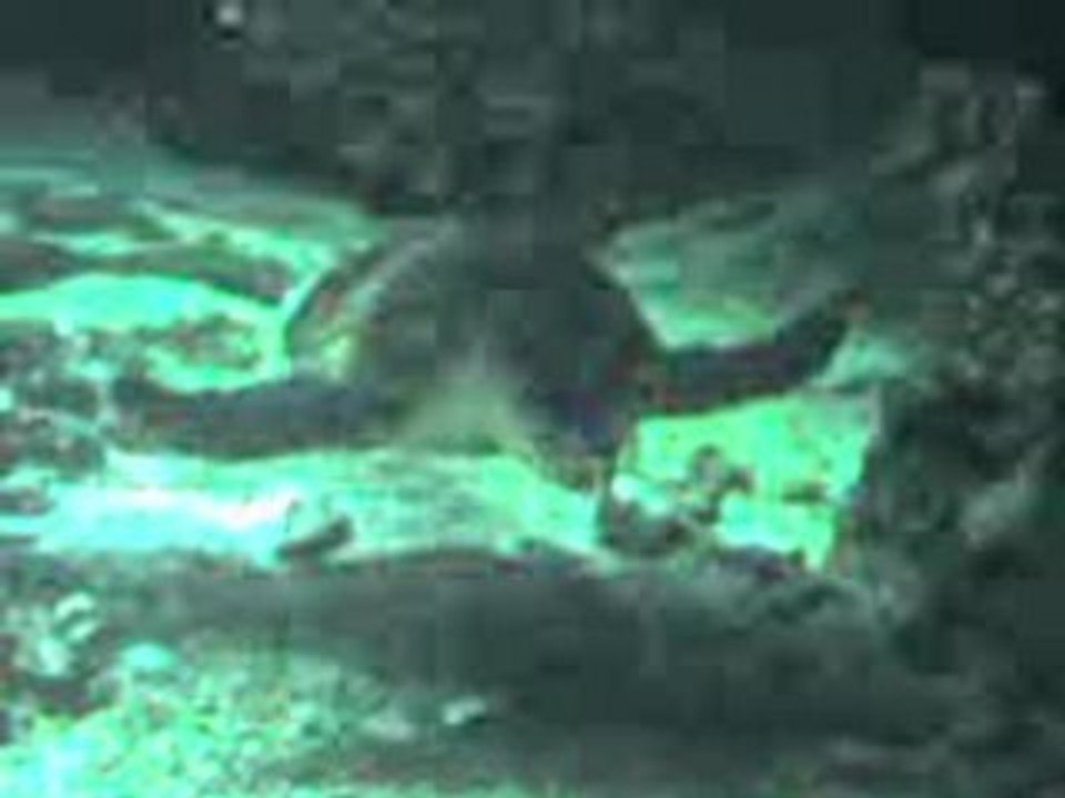 Vidéo 0021
