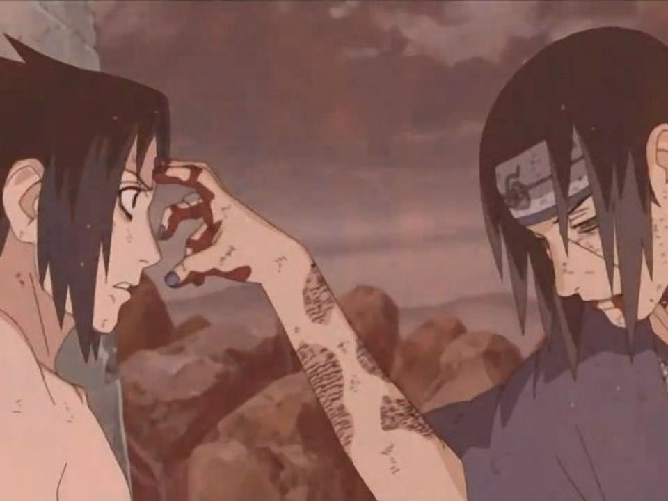 Das Schicksal zweier Brüder [AMV]