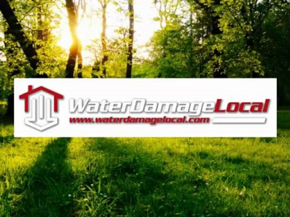 Aurora Water Damage