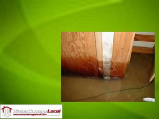 Basement Flood Clean Up Cicero