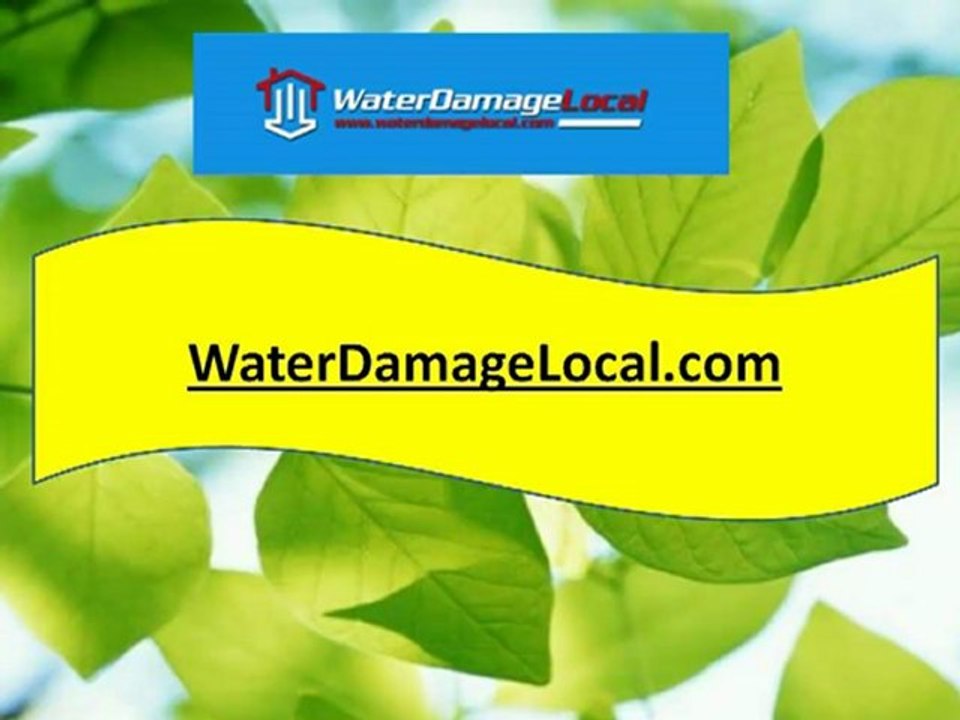 Bolingbrook Fire Damage Restoration