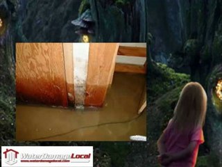 Chicago Water Damage Repair