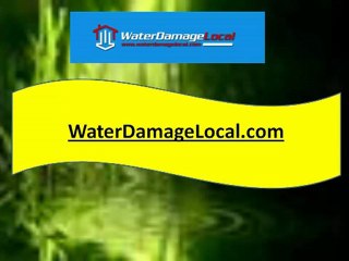 Aurora Flooded Basement